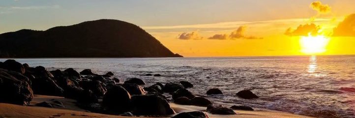 Sandy Iglesias  🦕 banner