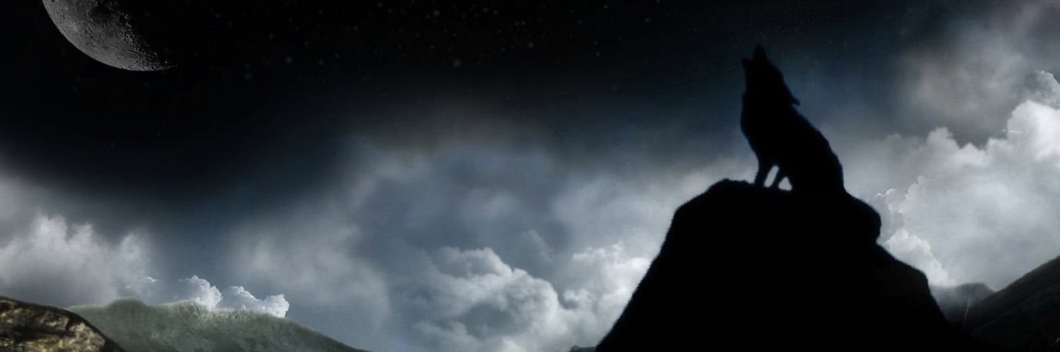 entropyftw's profile banner image