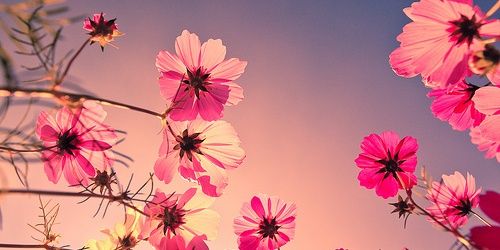 ClariGue's profile banner image