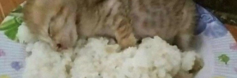 mateo banner