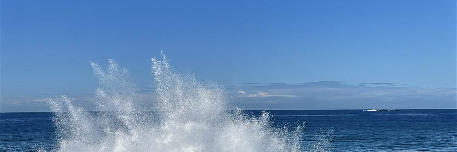 mariasblue's profile banner image