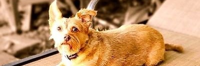Spoohky's profile banner image