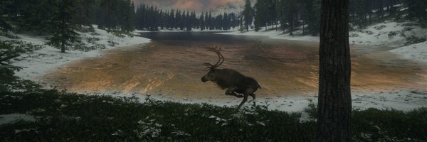 ttnewt1 Profile Banner