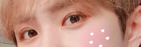 둥이ᰔᩚ banner
