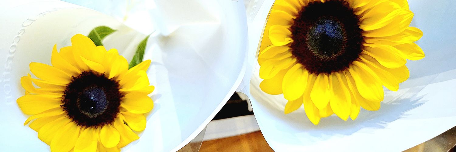 zzing07171's profile banner image