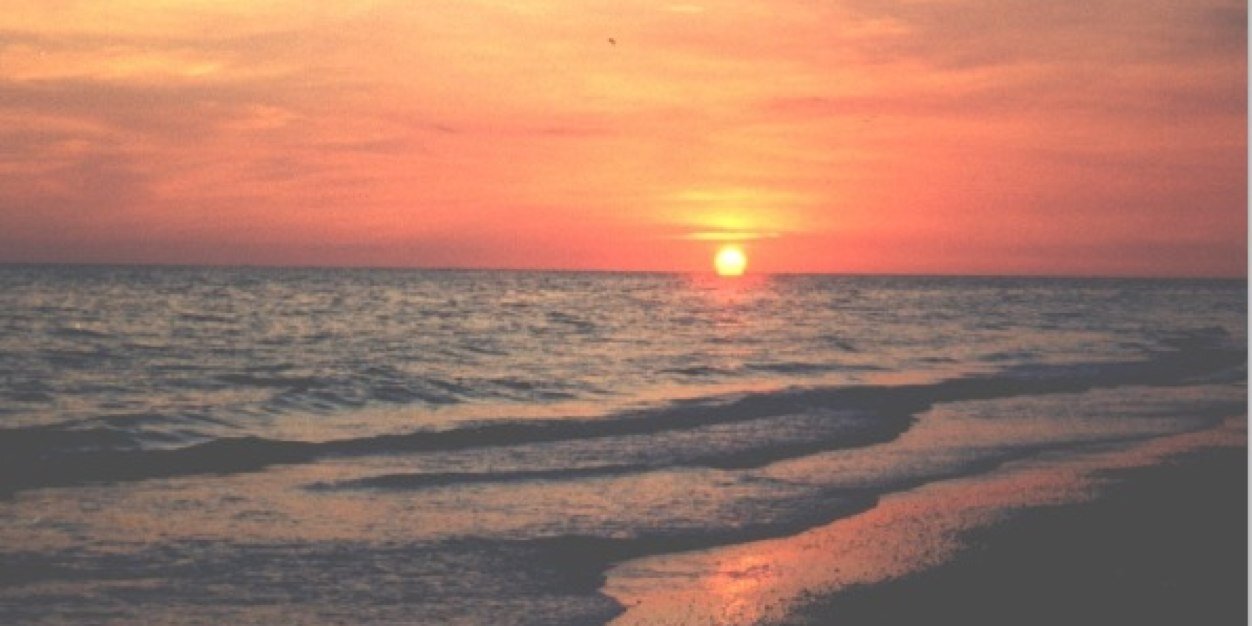 syd874's profile banner image