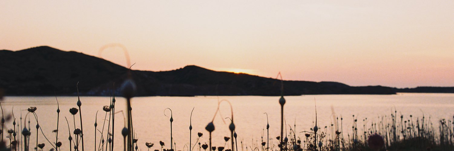 stevecorwood's profile banner image