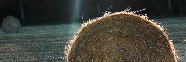 StigasNL Profile Banner