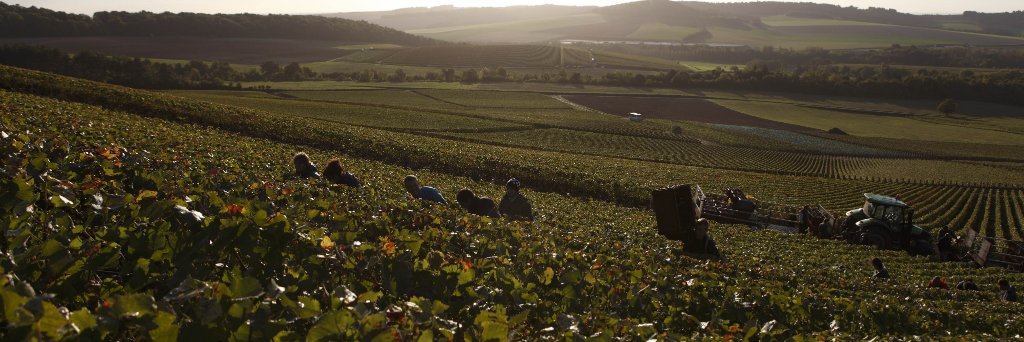 BollingerUK's profile banner image