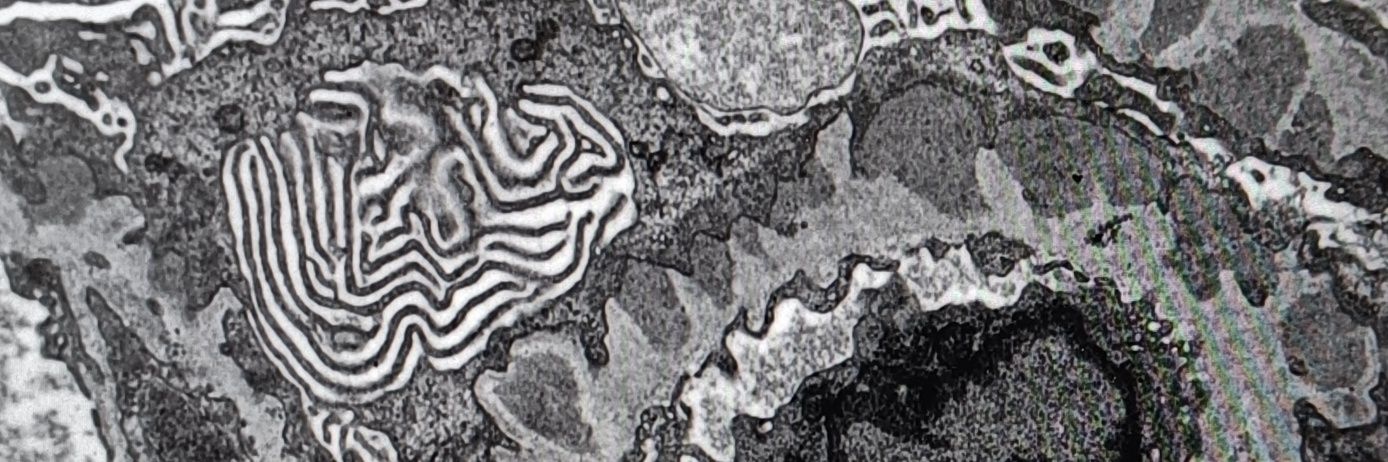 draalok's profile banner image