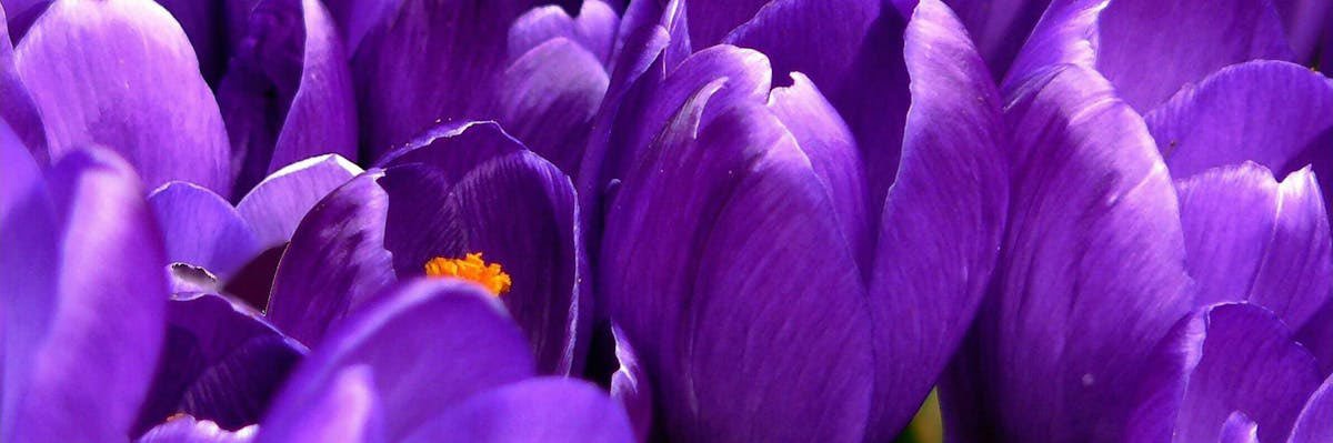 londrigan_sscf's profile banner image