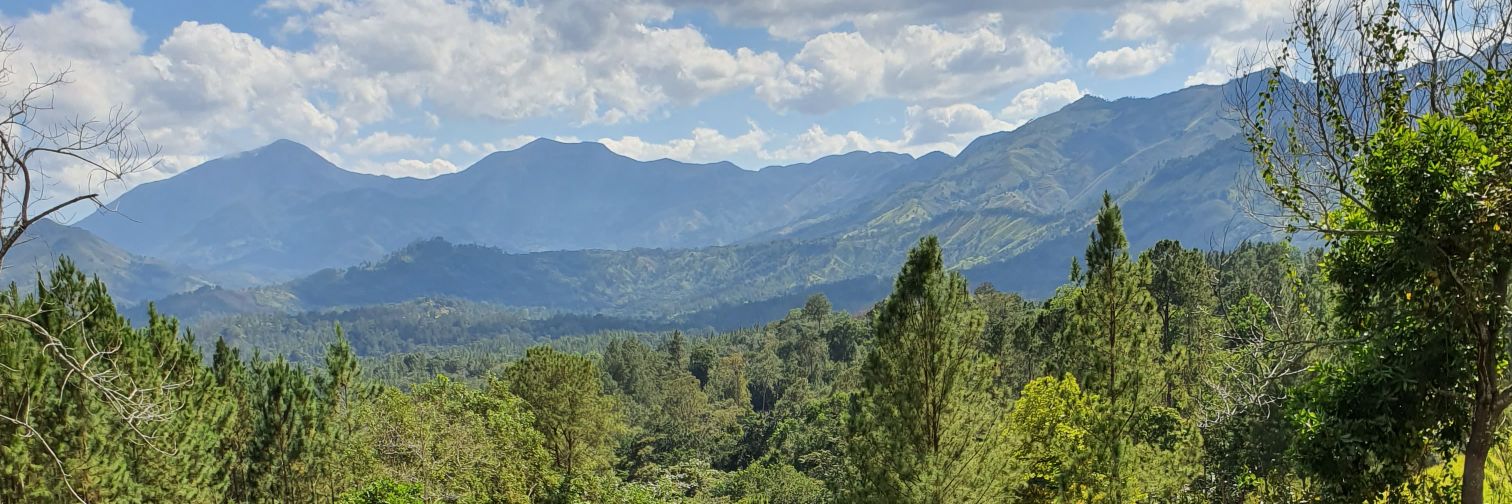 FrabianJ's profile banner image