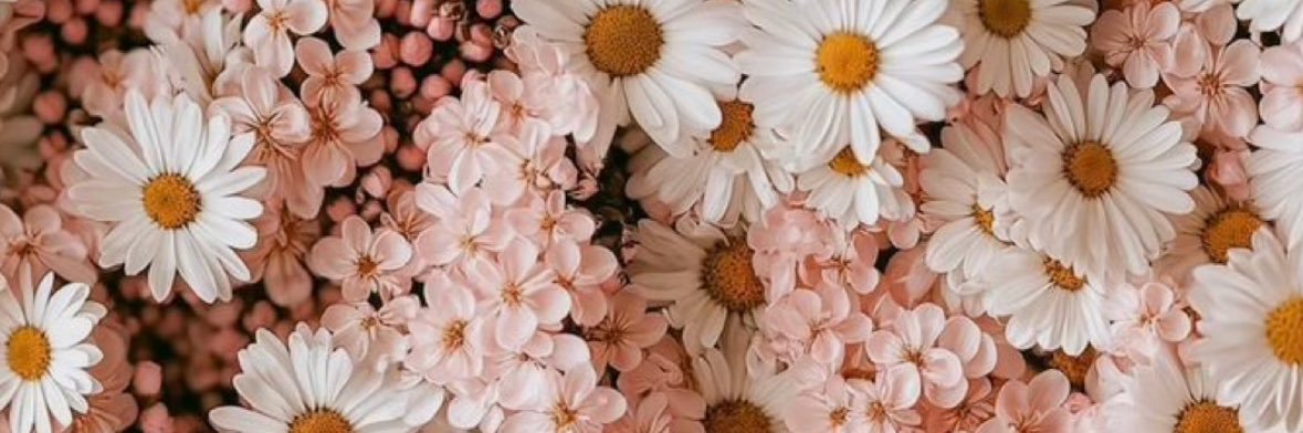 ROSE70TNKT's profile banner image