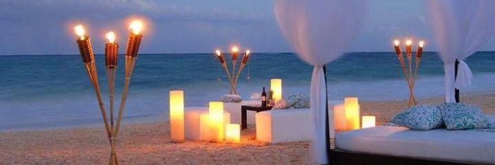 sandrafabiana's profile banner image