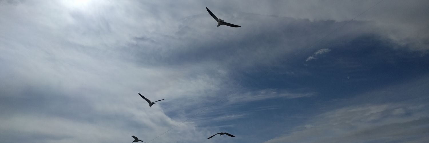 _jOESin's profile banner image