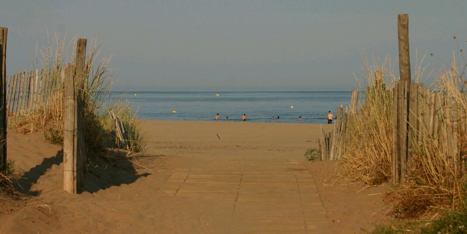 Maurice F 🔴⚪️⚫️ banner