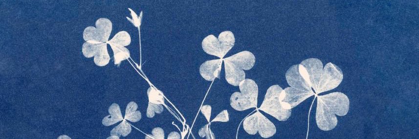 azul ⁷ banner