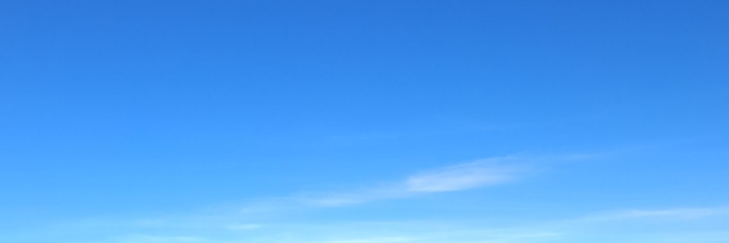 Ryan banner