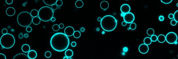 Lorenabp9 Profile Banner