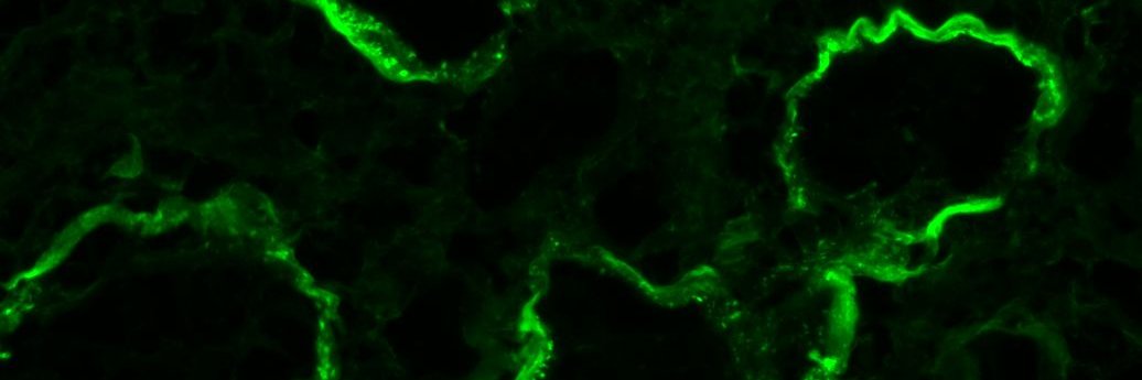 Jonathan Zuckerman MD PhD's banner