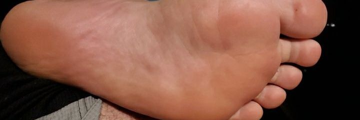 MasterLoyalty00 banner