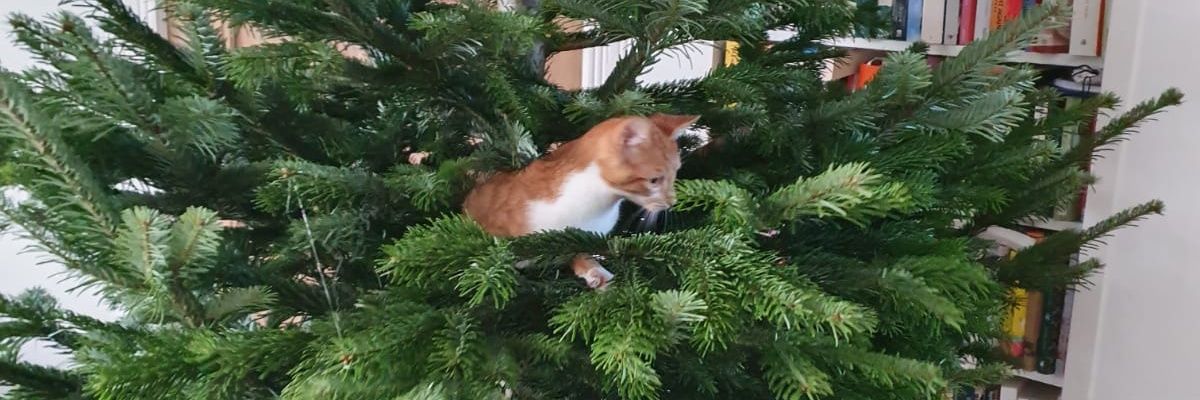 godinthenumber1's profile banner image