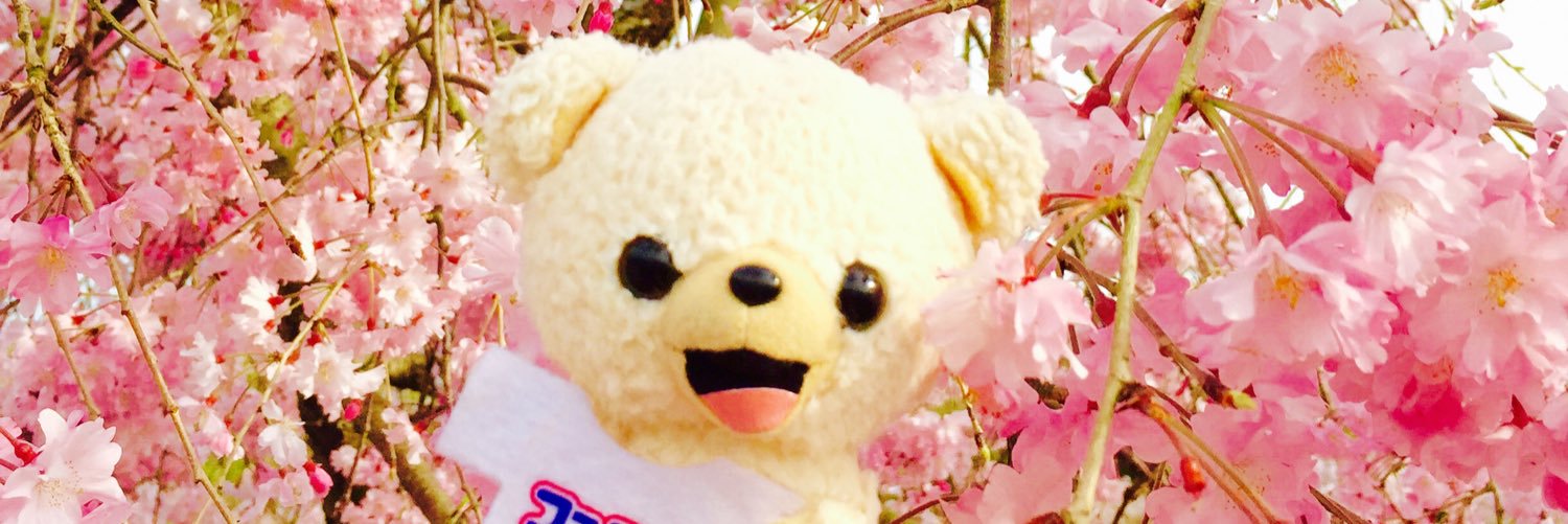 corocorofafa's profile banner image
