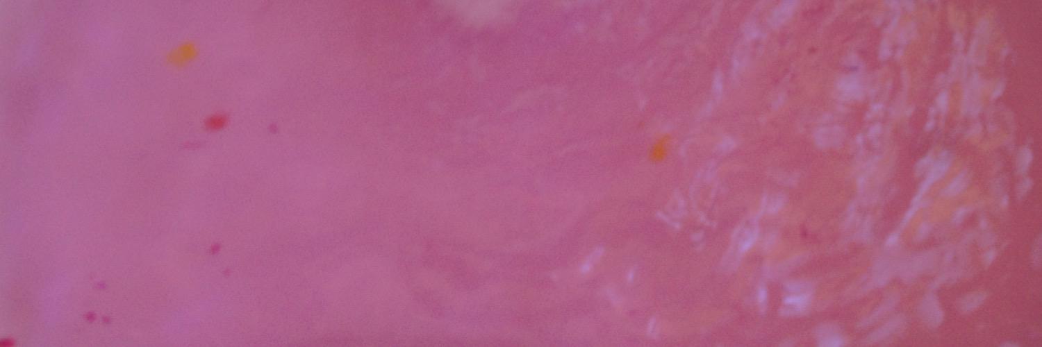 aprilsobsession's profile banner image