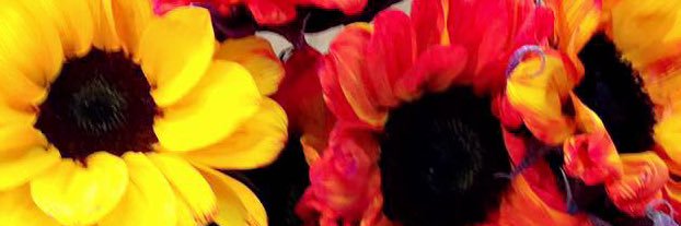 Jessica banner