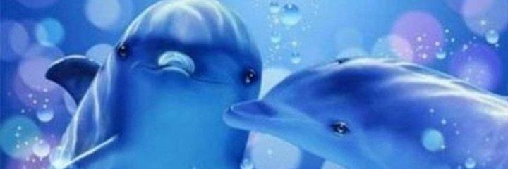 imms9666's profile banner image