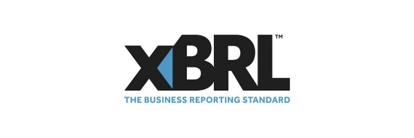 xbrlint Profile Banner