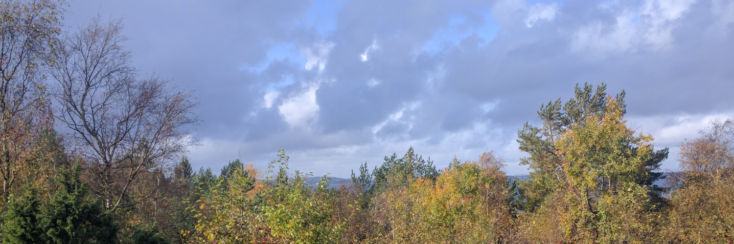 TorStangeland's profile banner image