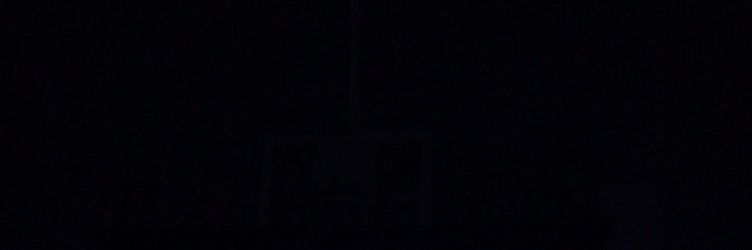 brudanie's profile banner image