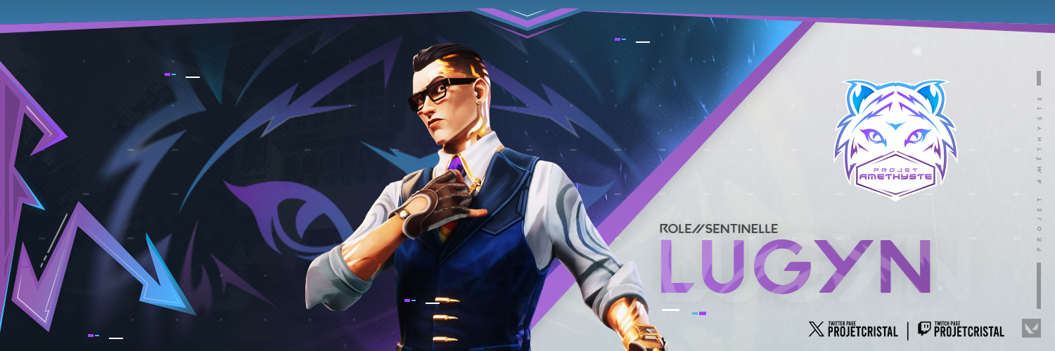 Lugyn banner