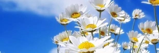 KFeuerhake's profile banner image