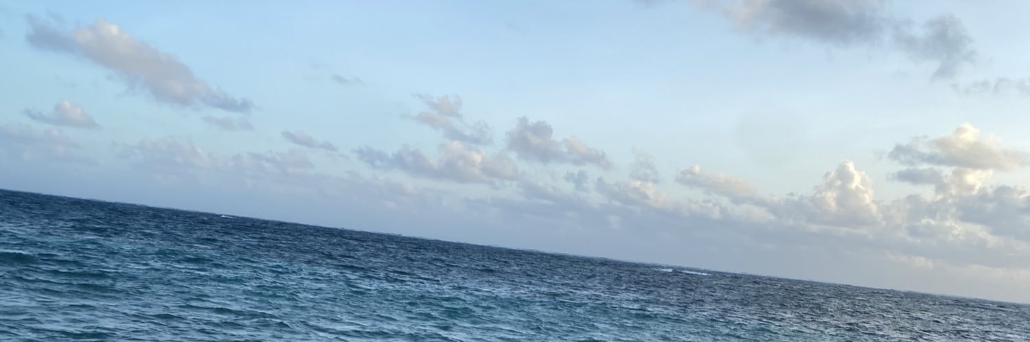 vale0930's profile banner image