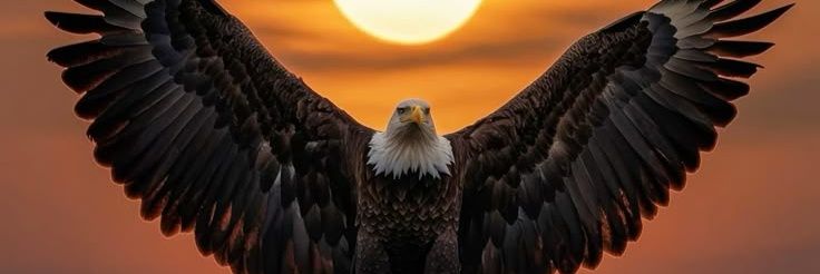 mesutone2's profile banner image