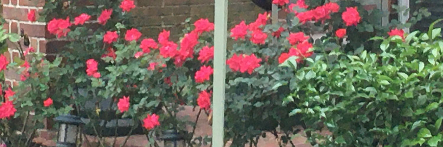 Frances Ghere banner