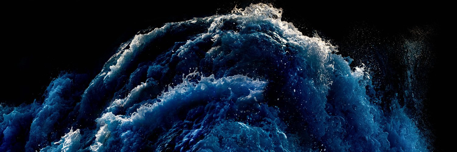 Brian Trischetta banner