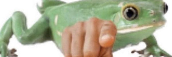 zorrofrog Profile Banner
