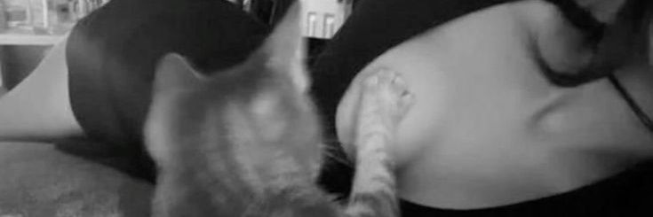 bije banner