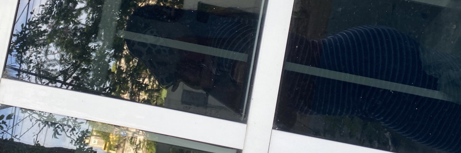 pita🤍 banner
