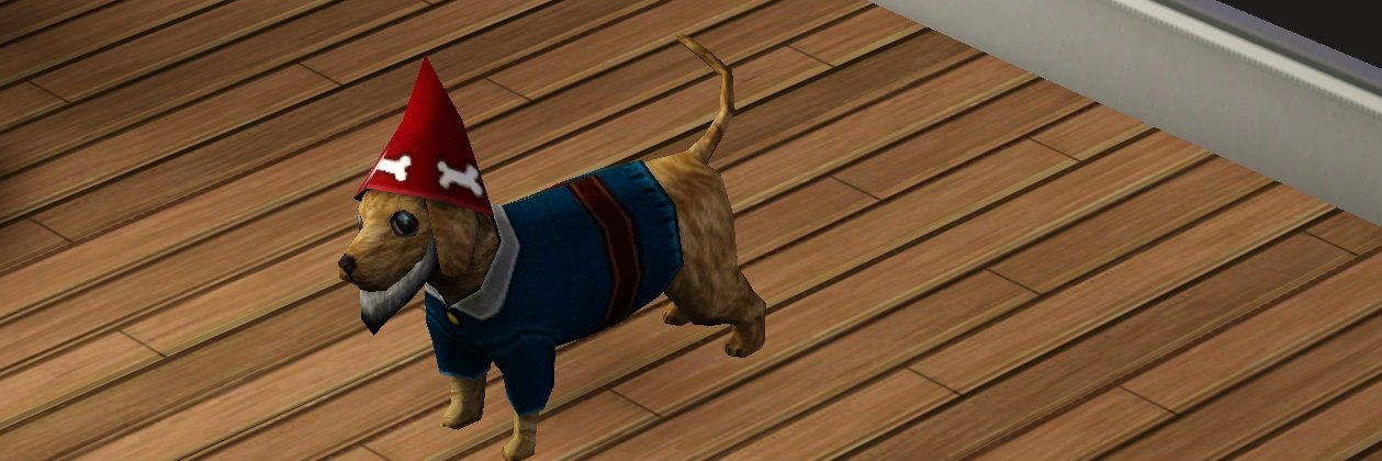 rachelcatfish's profile banner image