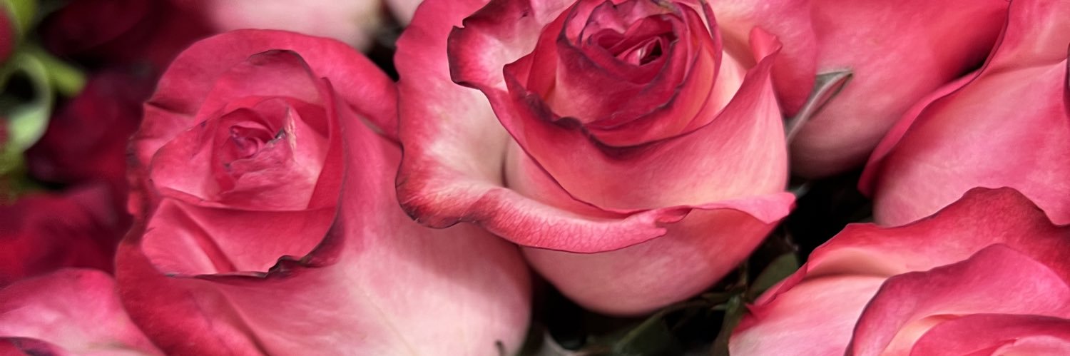 elisandrap92's profile banner image
