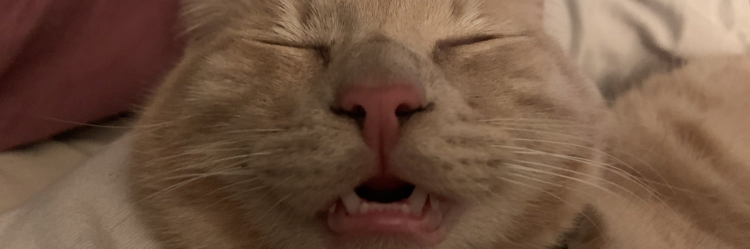 will_foster10's profile banner image
