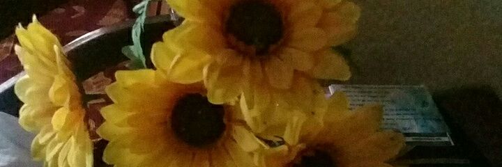 LydiaDo06953818's profile banner image