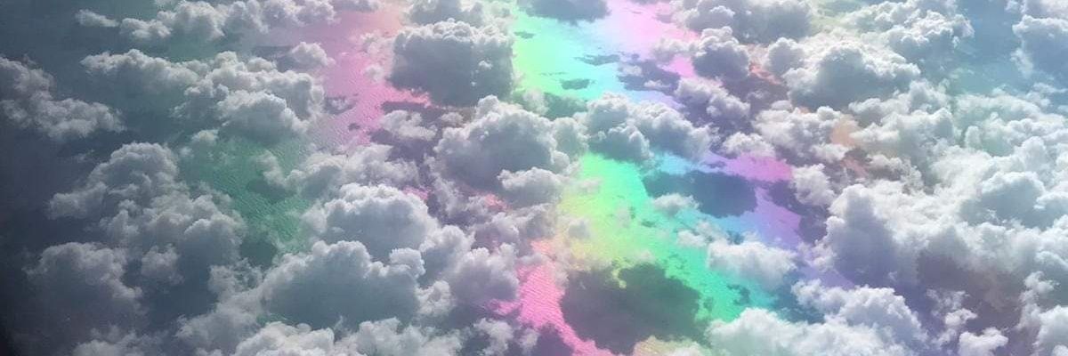 Duke_Of_Wangus's profile banner image