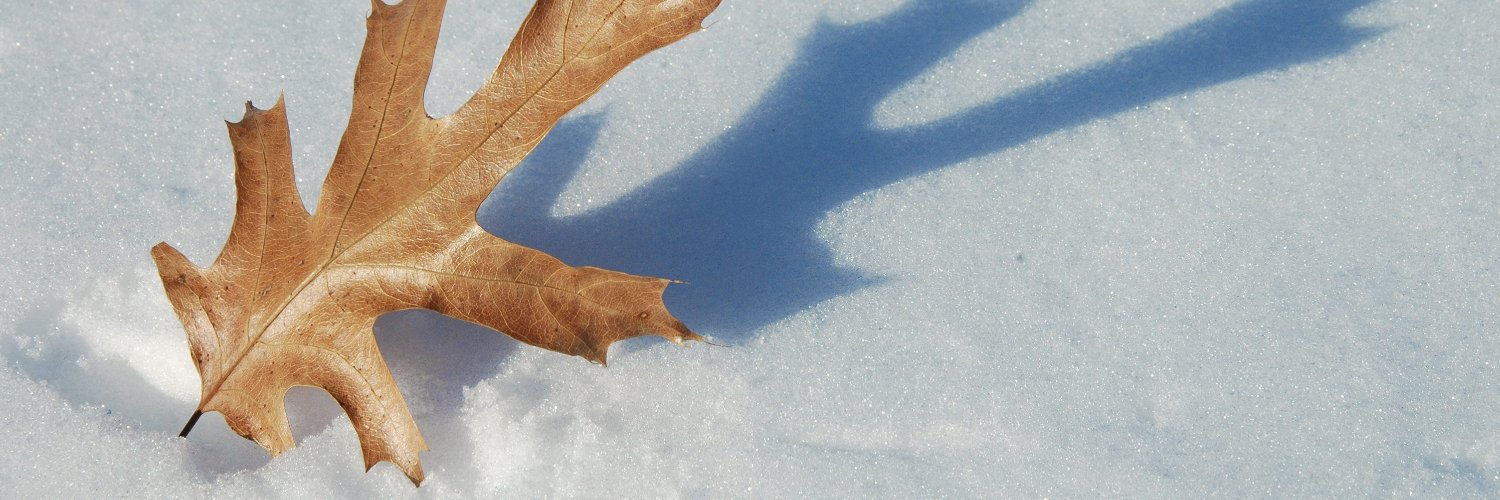 WarnerNature's profile banner image