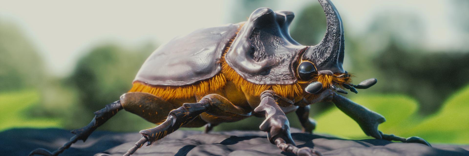 CZUtas's profile banner image