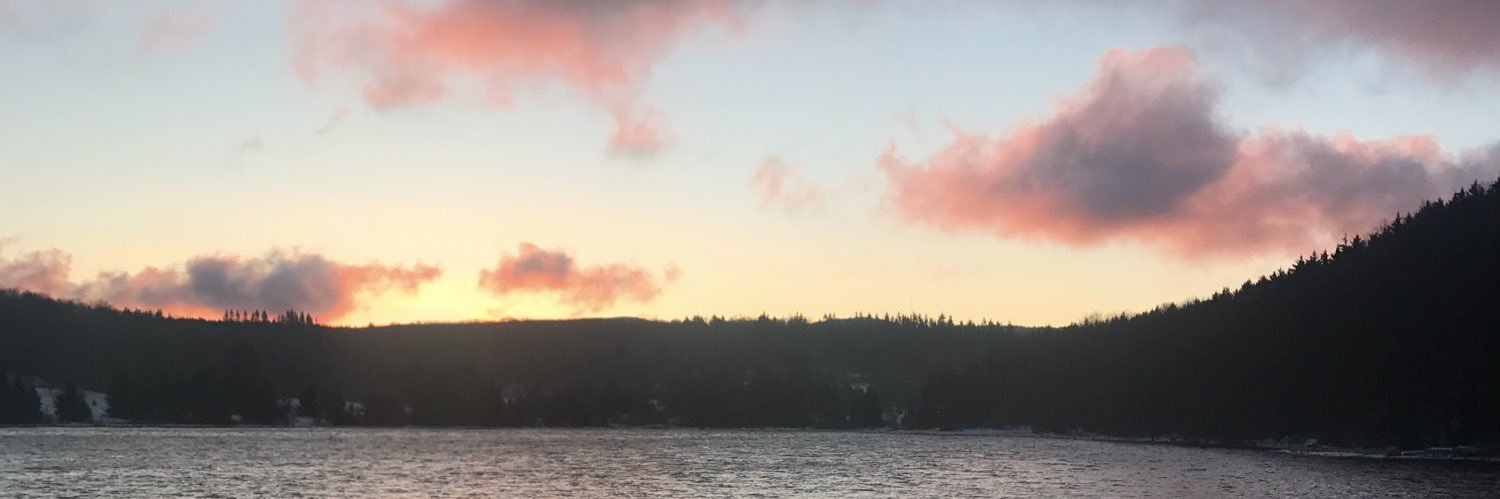Dtusi56's profile banner image